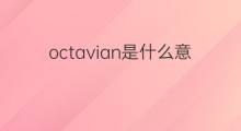 octavian是什么意思 octavian的中文翻译、读音、例句