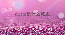 cutts是什么意思 cutts的中文翻译、读音、例句