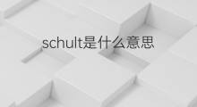 schult是什么意思 schult的中文翻译、读音、例句