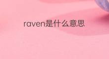 raven是什么意思 raven的中文翻译、读音、例句