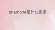 anemone是什么意思 anemone的中文翻译、读音、例句