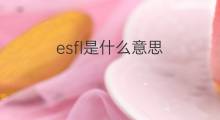 esfl是什么意思 esfl的中文翻译、读音、例句