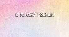 briefe是什么意思 briefe的中文翻译、读音、例句