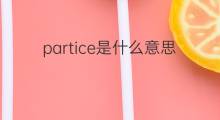 partice是什么意思 partice的中文翻译、读音、例句