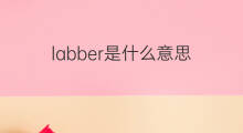 labber是什么意思 labber的中文翻译、读音、例句
