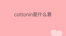cottonin是什么意思 cottonin的中文翻译、读音、例句
