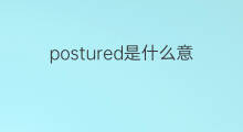 postured是什么意思 postured的中文翻译、读音、例句