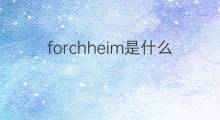 forchheim是什么意思 forchheim的中文翻译、读音、例句