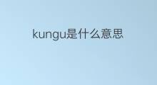 kungu是什么意思 kungu的中文翻译、读音、例句