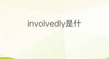 involvedly是什么意思 involvedly的中文翻译、读音、例句