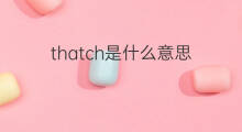 thatch是什么意思 thatch的中文翻译、读音、例句