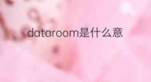 dataroom是什么意思 dataroom的中文翻译、读音、例句