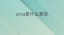 sma是什么意思 sma的中文翻译、读音、例句