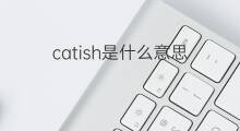 catish是什么意思 catish的中文翻译、读音、例句