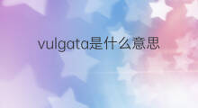 vulgata是什么意思 vulgata的中文翻译、读音、例句
