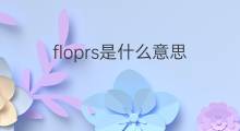 floprs是什么意思 floprs的中文翻译、读音、例句