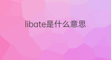 libate是什么意思 libate的中文翻译、读音、例句