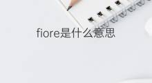 fiore是什么意思 fiore的中文翻译、读音、例句