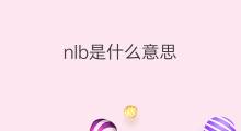 nlb是什么意思 nlb的中文翻译、读音、例句