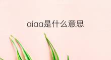 aiaa是什么意思 aiaa的中文翻译、读音、例句