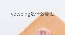 yawping是什么意思 yawping的中文翻译、读音、例句