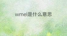 wmel是什么意思 wmel的中文翻译、读音、例句