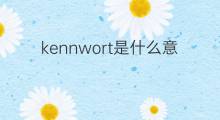 kennwort是什么意思 kennwort的中文翻译、读音、例句
