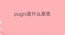 pugni是什么意思 pugni的中文翻译、读音、例句