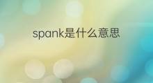 spank是什么意思 spank的中文翻译、读音、例句