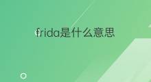 frida是什么意思 frida的中文翻译、读音、例句