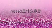 hissed是什么意思 hissed的中文翻译、读音、例句