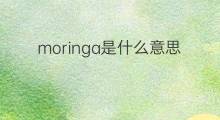 moringa是什么意思 moringa的中文翻译、读音、例句