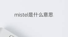 mistel是什么意思 mistel的中文翻译、读音、例句