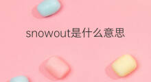 snowout是什么意思 snowout的中文翻译、读音、例句