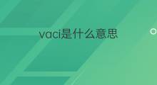 vaci是什么意思 vaci的中文翻译、读音、例句