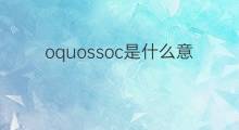 oquossoc是什么意思 oquossoc的中文翻译、读音、例句