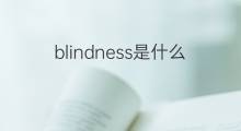 blindness是什么意思 blindness的中文翻译、读音、例句