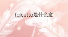falcetta是什么意思 falcetta的中文翻译、读音、例句