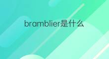 bramblier是什么意思 bramblier的中文翻译、读音、例句