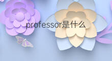 professor是什么意思 professor的中文翻译、读音、例句