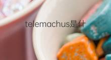 telemachus是什么意思 telemachus的中文翻译、读音、例句