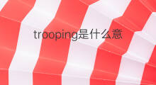 trooping是什么意思 trooping的中文翻译、读音、例句