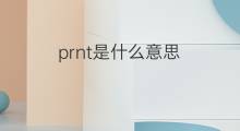 prnt是什么意思 prnt的中文翻译、读音、例句
