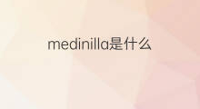 medinilla是什么意思 medinilla的中文翻译、读音、例句