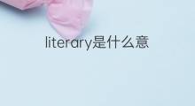 literary是什么意思 literary的中文翻译、读音、例句