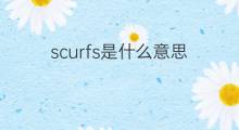 scurfs是什么意思 scurfs的中文翻译、读音、例句