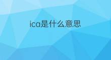 ica是什么意思 ica的中文翻译、读音、例句