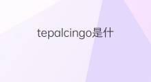 tepalcingo是什么意思 tepalcingo的中文翻译、读音、例句