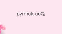 pyrrhuloxia是什么意思 pyrrhuloxia的中文翻译、读音、例句