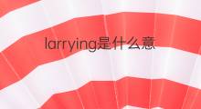 larrying是什么意思 larrying的中文翻译、读音、例句